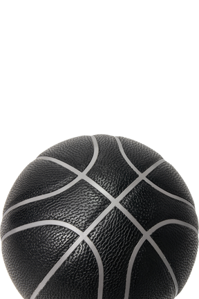 Nikola Jokic Basketball