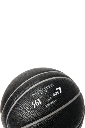 Nikola Jokic Basketball