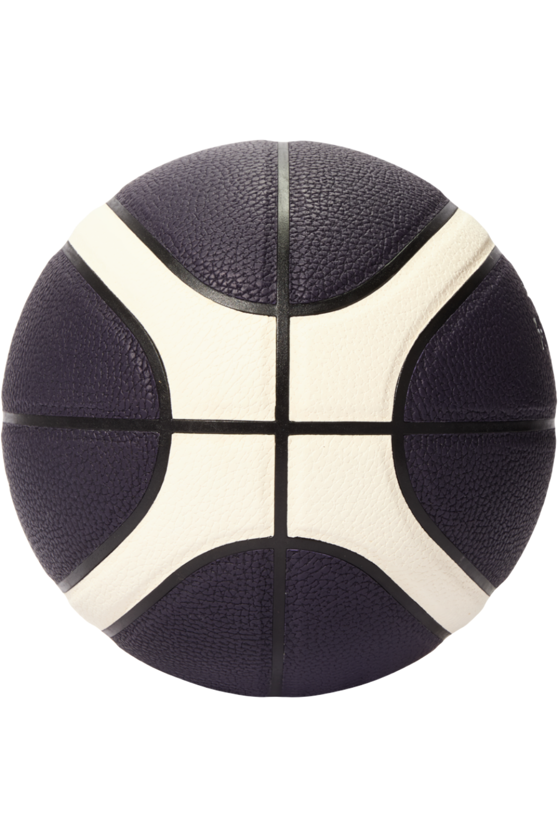 Nikola Jokic Basketball