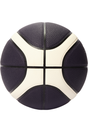 Nikola Jokic Basketball