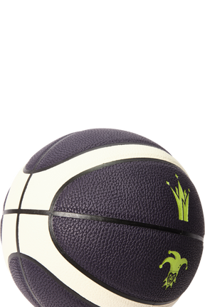 Nikola Jokic Basketball