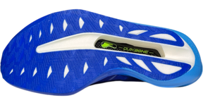 Furious Future 2.0 - Blue Line